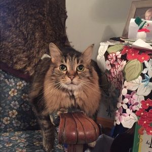 Meet your Posher, Hannah